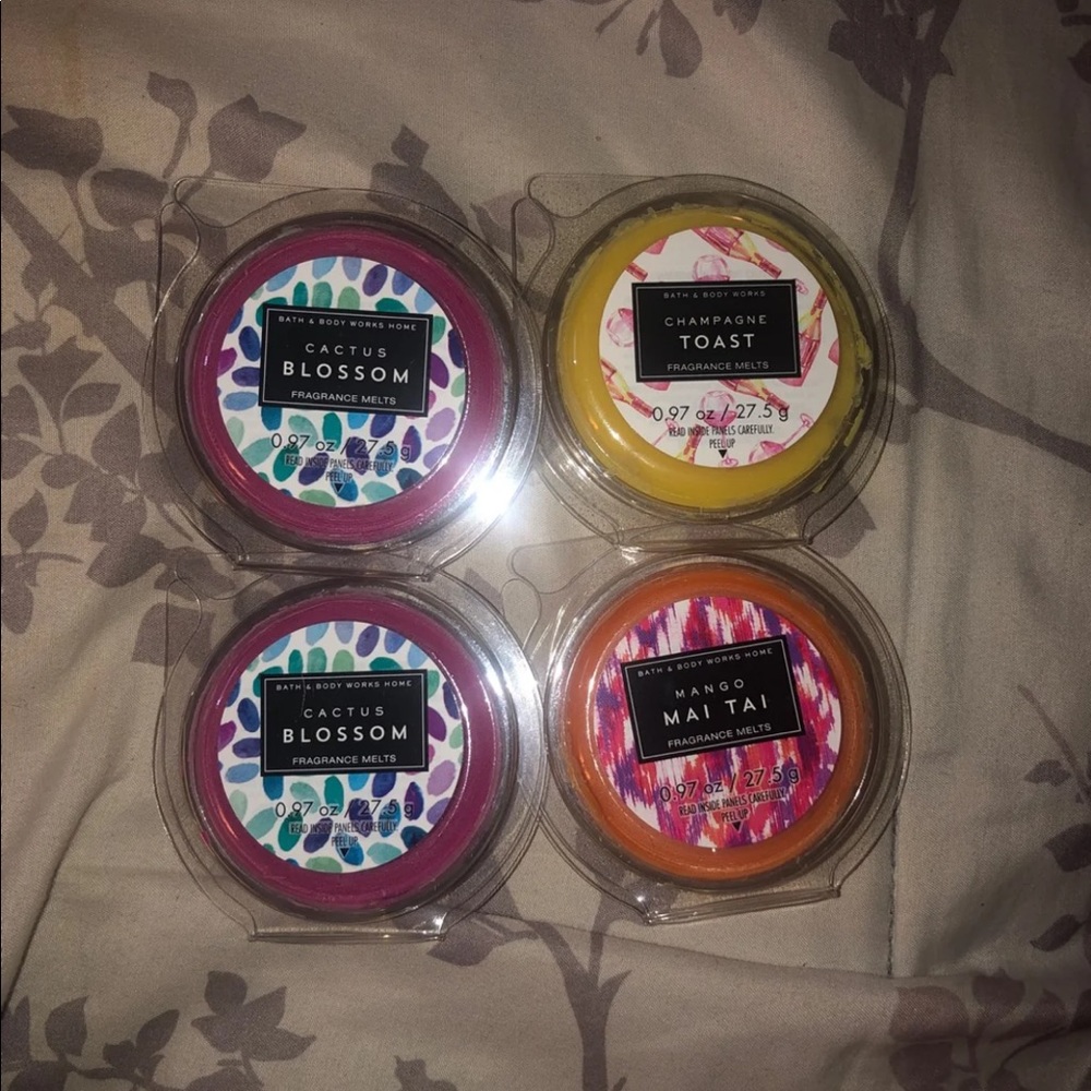 Bath & Body Works wax Melts